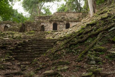 Yaxchilan - Meksika 'nın Chiapas eyaletindeki Olağan macinta nehrinin kıyısında bulunan antik bir Maya şehri..