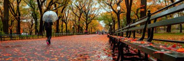 Central Park 'taki sonbahar manzarasının panoramik görüntüsü. New York 'ta. ABD