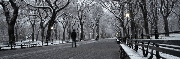Panoramic view of winter landscape in Central Park. New York City. USA