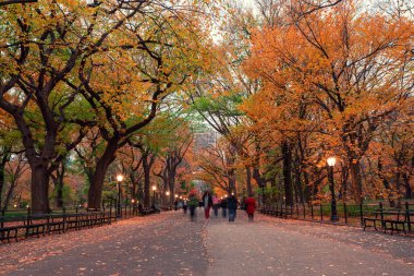 Central Park 'ta sonbahar manzarası. New York 'ta. ABD