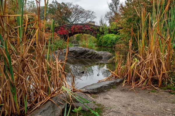 Вид Осінній Пейзаж Центральному Парку Гапстоу Бридж Нью Йорк Сша — стокове фото
