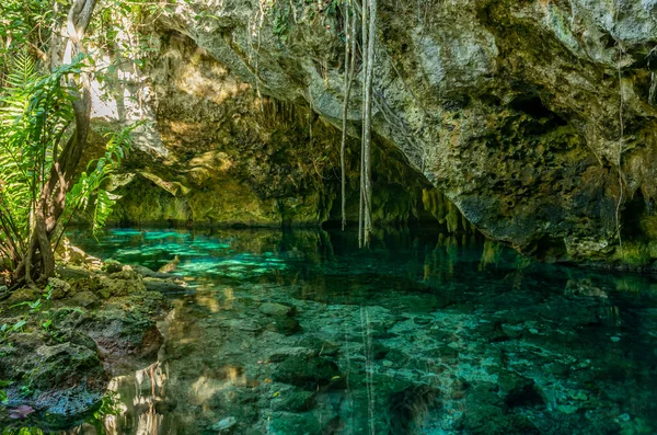 Swimming Grand Cenote One Most Famous Cenotes Mexico — Stock Photo, Image