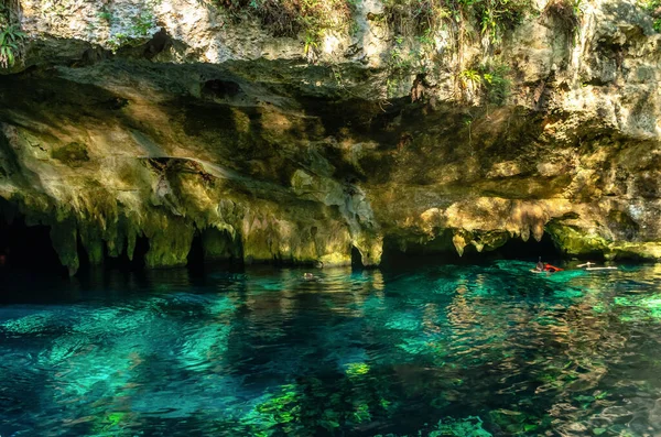 Nadar Grand Cenote Uno Los Cenotes Más Famosos México —  Fotos de Stock