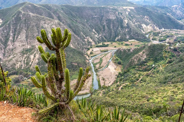 Metztitlan 峡谷生物圈保护区全景图 Huasca 墨西哥 — 图库照片