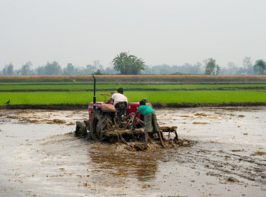 chitvan, nepal bir pirinç tarlayı traktör