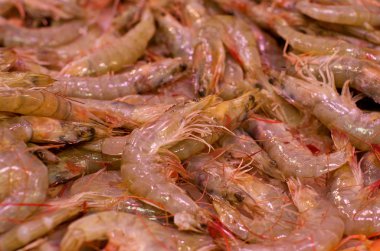 pazarda taze karides 