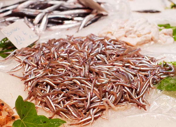 Pescado fresco en el mercado — Foto de Stock