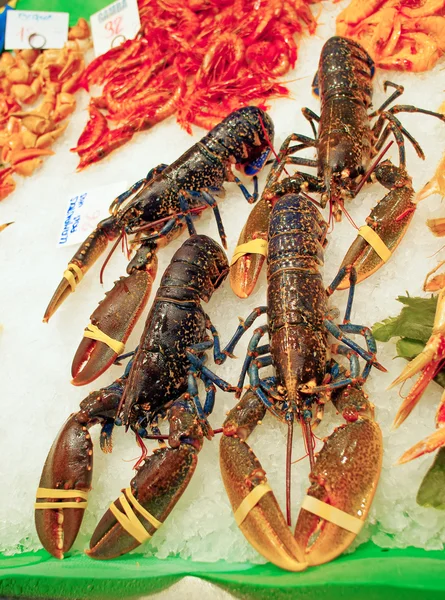 Langosta fresca en el mercado — Foto de Stock