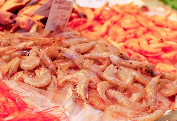 Camarones frescos en el mercado — Foto de Stock