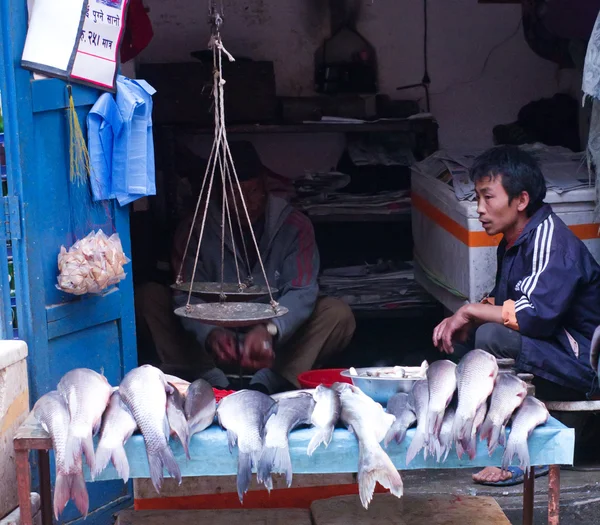 Comercio callejero de pescado en Katmandú, Nepal . — Foto de Stock