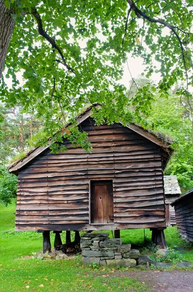 Norský dům s trávy střeše. — Stock fotografie