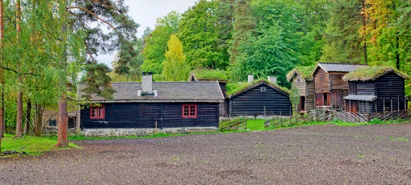 Norwegisches Haus mit Grasdach. — Stockfoto