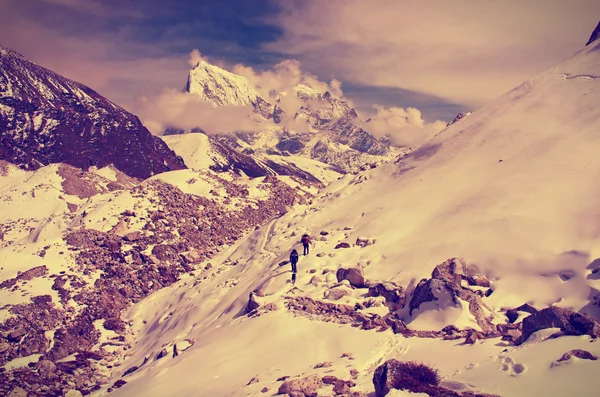 Trail yürüyüş grubu — Stok fotoğraf