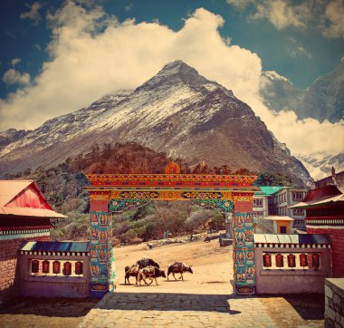 Tengboche monastery in Himalaya mountains clipart