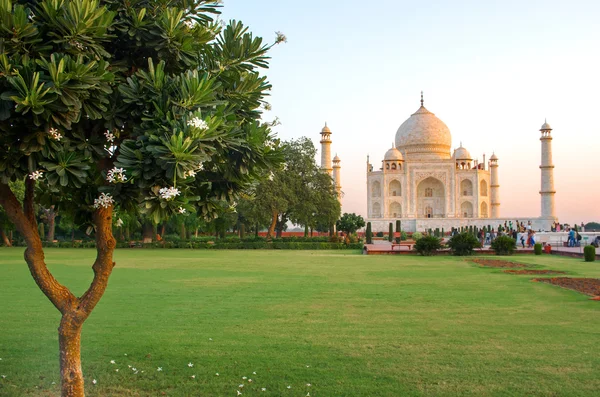 Taj Mahal az indiai Agrában — Stock Fotó