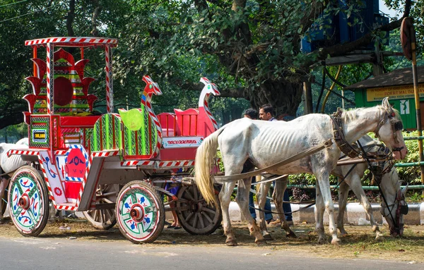 Carruaje de caballos en Calcuta — Foto de Stock