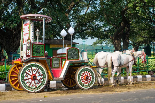 Chariot à chevaux à Kolkata — Photo