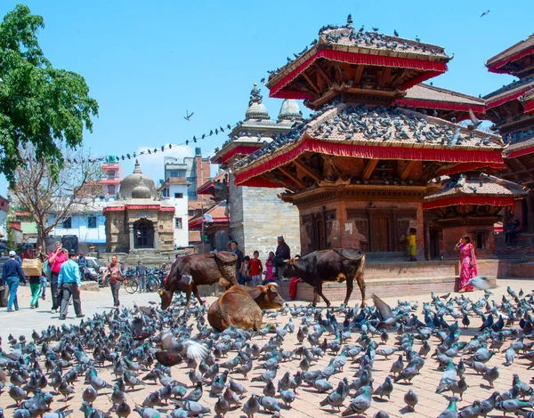 Kathmandu 's durbar square, nepal — Stockfoto