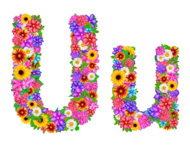 U harf İngiliz alfabesi