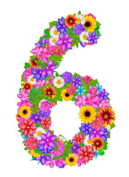 Educational floral 6 number — Stock Photo, Image