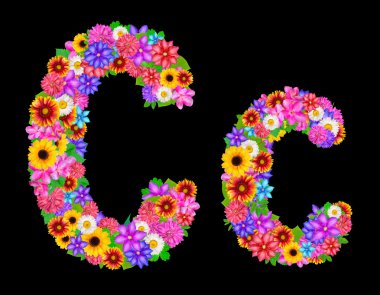 Çiçek C harfi alfabesi