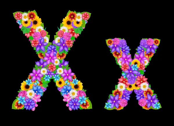 Blomma X alfabet bokstäver — Stockfoto