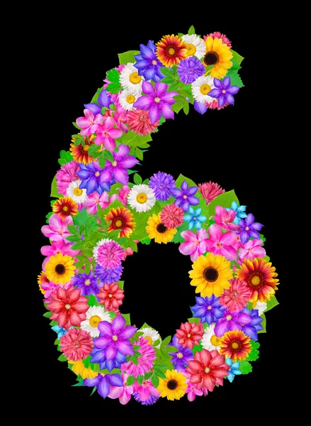 Number 6 made from flowers — Stock Photo, Image