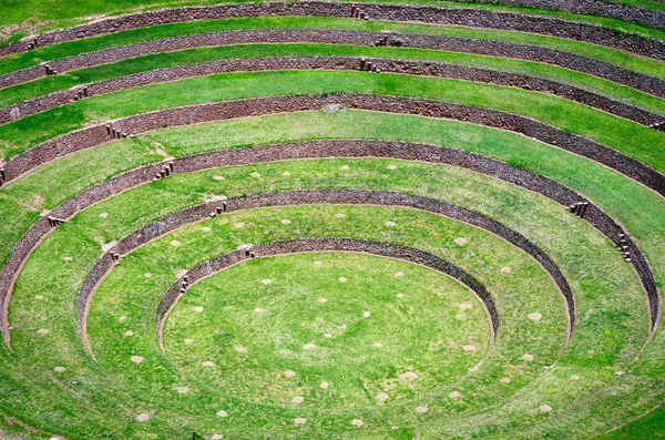 Terraços agrícolas em moray — Fotografia de Stock