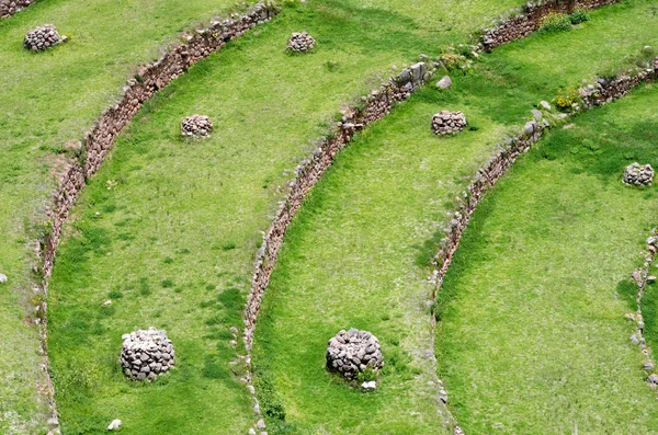 Terraços agrícolas em moray — Fotografia de Stock