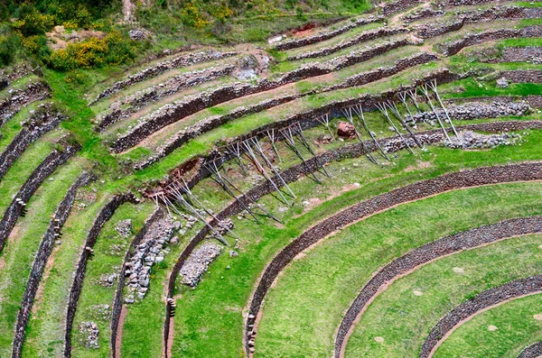 Terraços agrícolas em moray — Fotografia de Stock