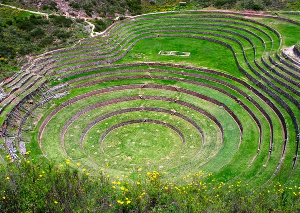 Terraços agrícolas em moray — Fotografia de Stock