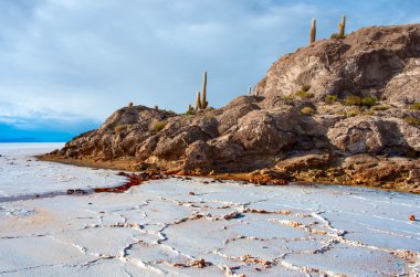 salar de uyuni Island'da görülmektedir,