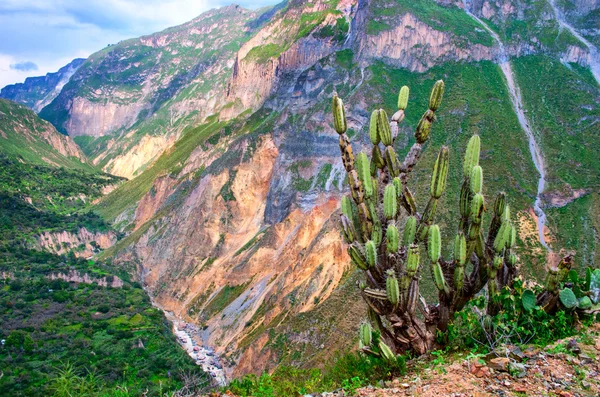 Beautiful view of Canyon Colca — Stock Photo, Image