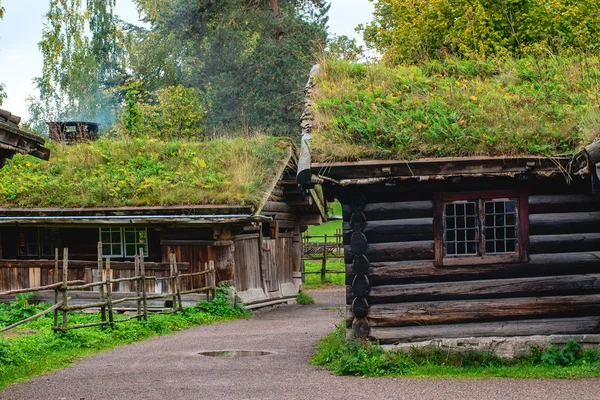 Norveç ev çim çatılı. — Stok fotoğraf