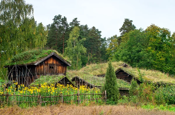 Casa noruega con techo de hierba — Foto de Stock