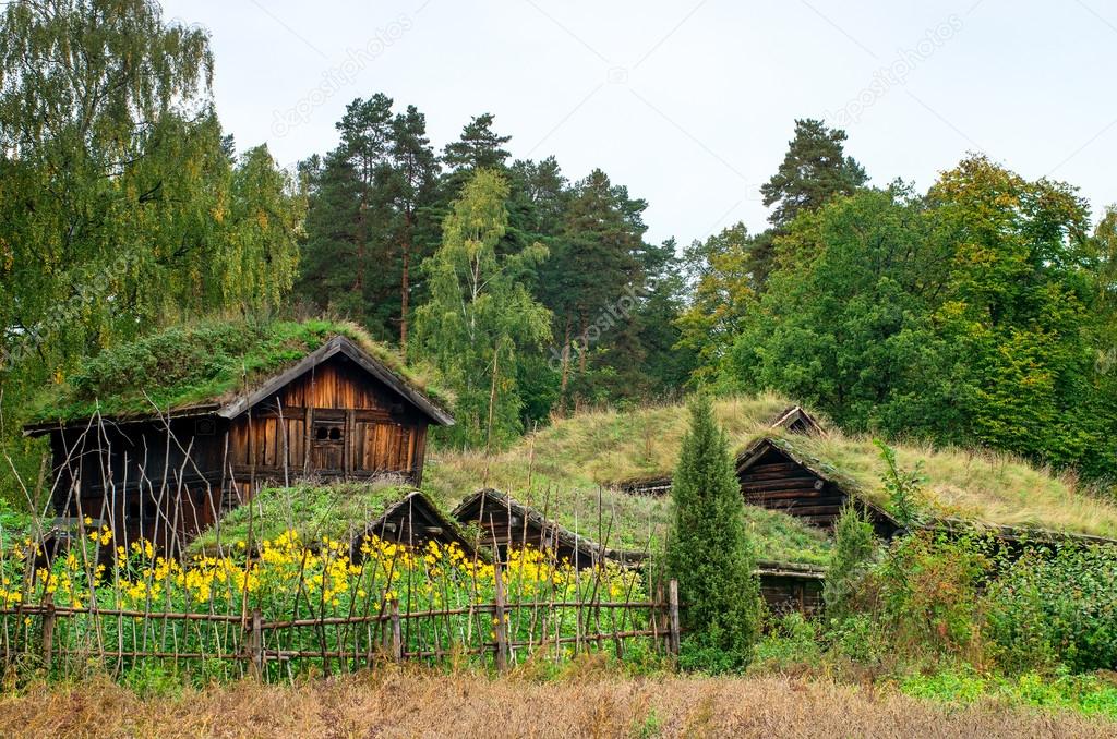 Norwegian House with grass roof