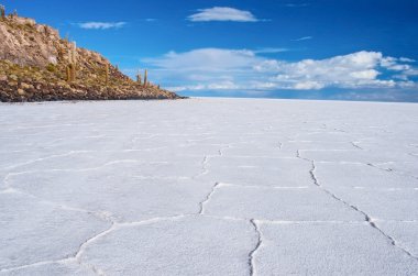 salar de uyuni Island'da görülmektedir