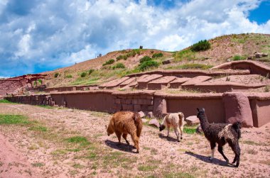 Tiwanaku. Bolivya'daki Harabeleri,  