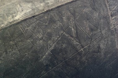 Geoglyphs ve çizgiler Nazca Çölü'nde