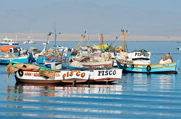 Fishing boats in Paracas national park — Stock Photo, Image