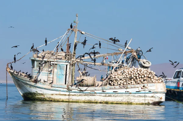 Barcos de pesca en el Parque Nacional Paracas — Foto de Stock