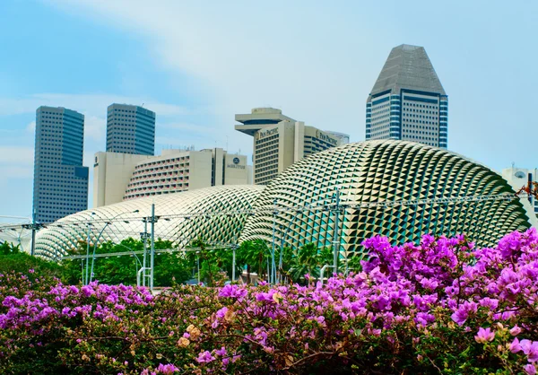 Esplanade teater i Singapore royaltyfrie gratis stockfoto