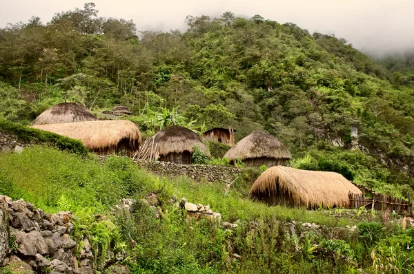 Traditioneel dorp in Papoea — Stockfoto