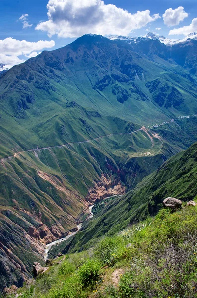 Kanion Colca, Peru — Zdjęcie stockowe