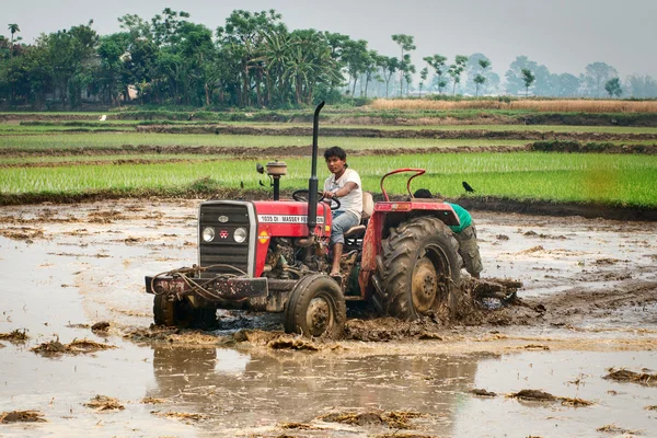 Tractor arando campo de arroz en Chitvan —  Fotos de Stock