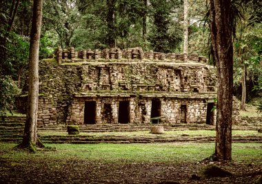 Yaxchilan - Meksika 'nın Chiapas eyaletindeki Olağan macinta nehrinin kıyısında bulunan antik bir Maya şehri..