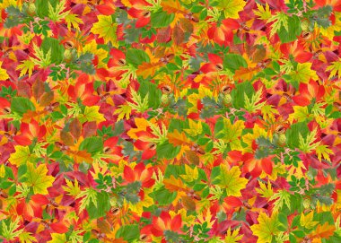 renkli yaprakları ile arka plan