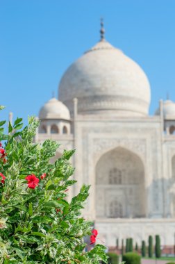 Agra Mahal görünümünü