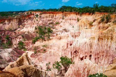 Hell's Kitchen Kenya