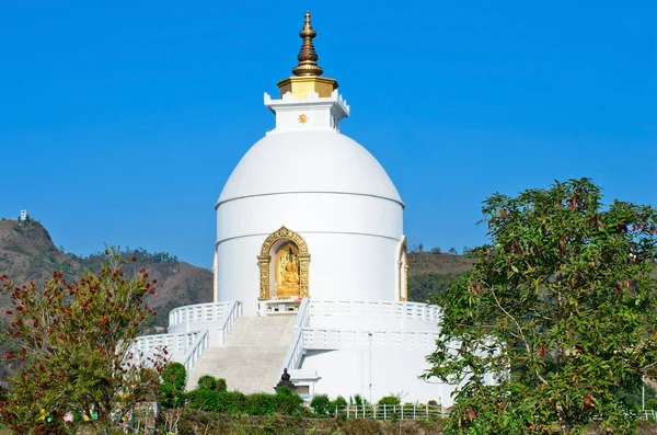 Dünya Barış pagoda pokhara içinde — Stok fotoğraf